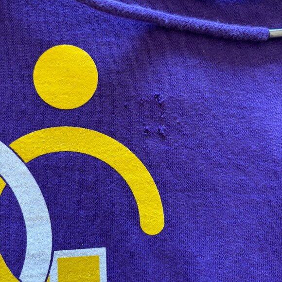 Unisex Champion Purple “Team Up” Hoodie Set Size S & M Matching Bundle - Picture 15 of 15